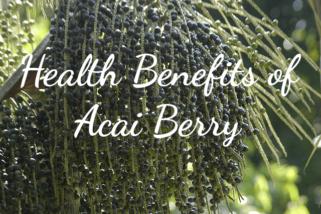 Health Benefits of Acai Berry