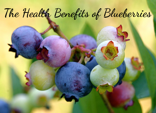 The Health Benefits of Blueberry