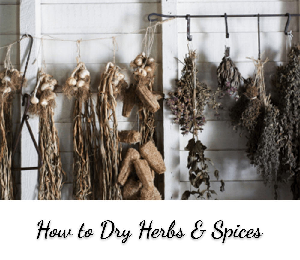 How to Dry Herbs and Spices Chew Your Vitamins