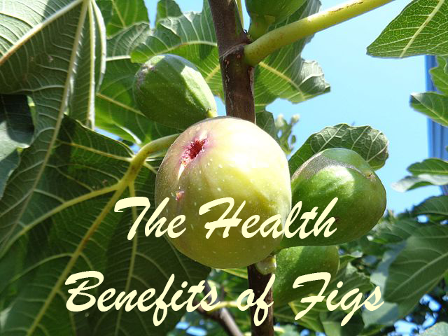 The Health Benefits of Fig